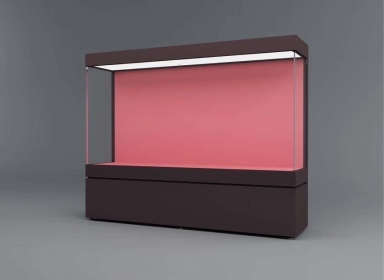 單麵博物館展櫃.png